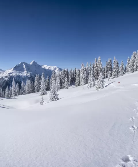 Station de ski Chalet Altitude